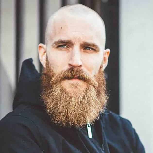 Long Beard and Mustache with Bald Head