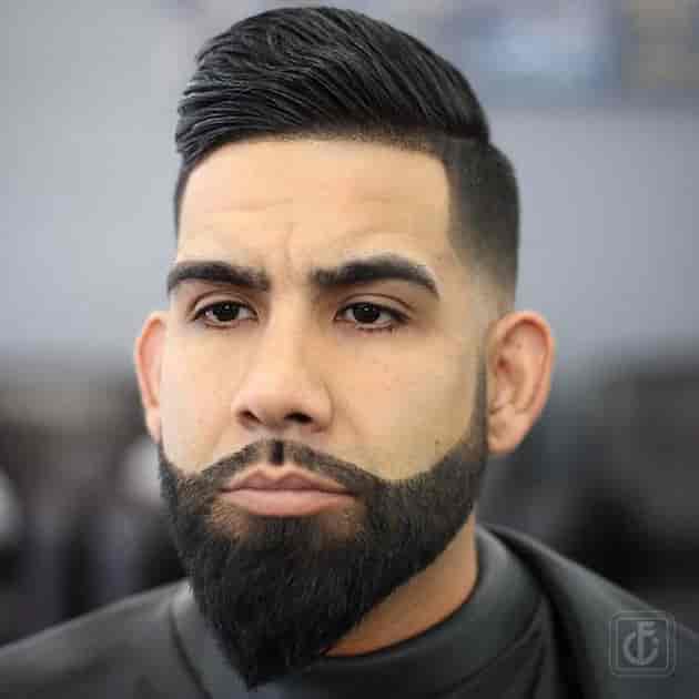 paranoma beard style